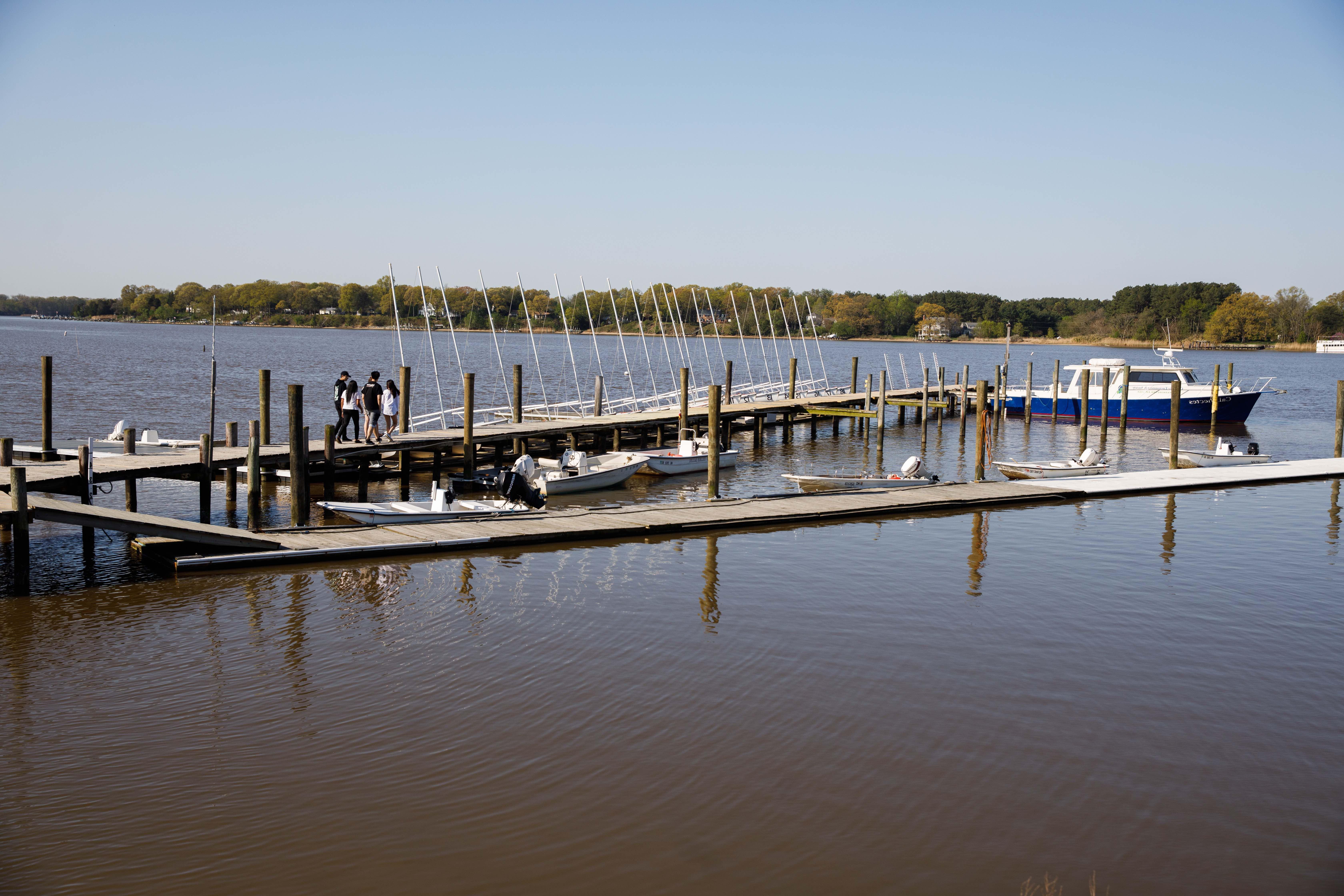 Sailboats in Washington College's riverfront marina