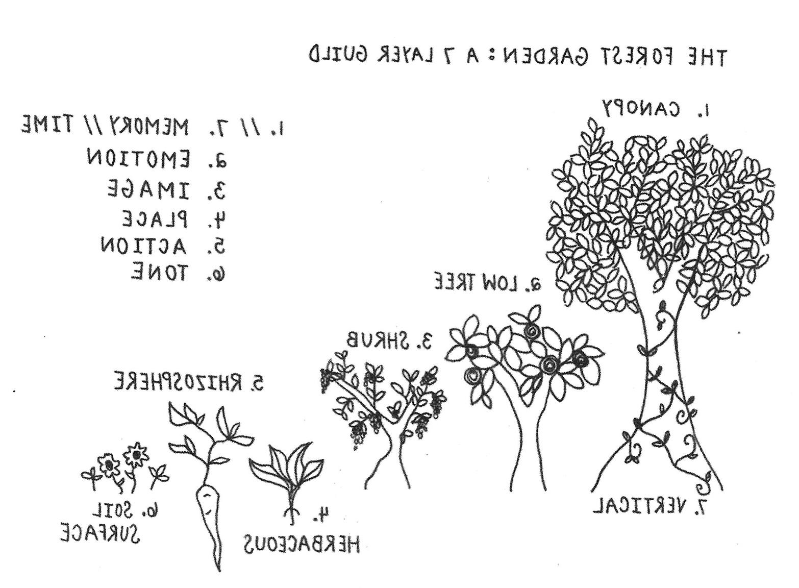 Seven Layers of the Forest Garden